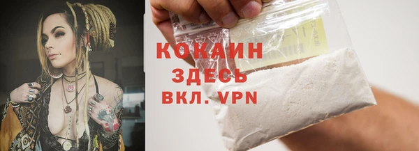 ALPHA PVP Остров