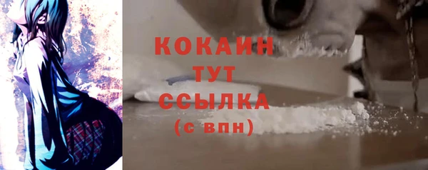 соль ск Бородино
