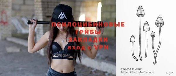 дмт Бугульма