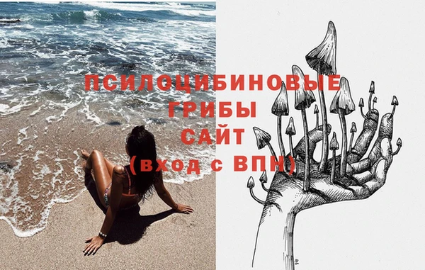 соль ск Бронницы