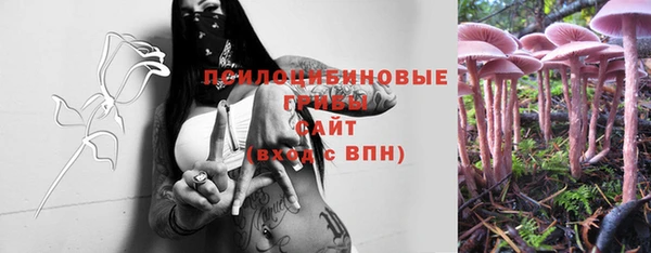 соль ск Бородино