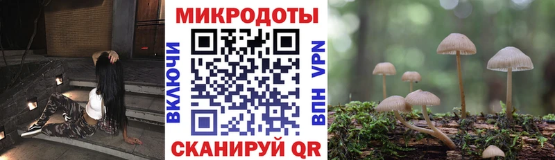 Галлюциногенные грибы Cubensis  дарк нет какой сайт  Валдай 