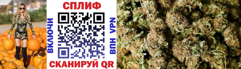 мега как войти  даркнет сайт  Валдай  Канабис Ganja 
